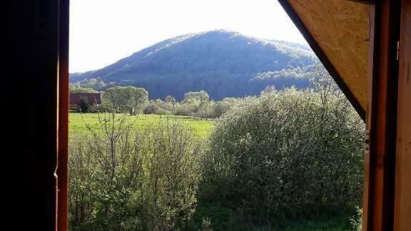 Wakacyjne Lodge